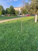 Mese activitati recreativr
