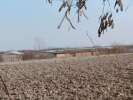 Miros insuportabil de la evacuarea, depozitarea deșeurilor toxice rezultate de la câini.